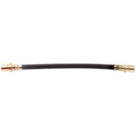 Order Rear Brake Hose by RAYBESTOS - BH381349 For Your Vehicle