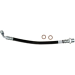 Order Rear Brake Hose by RAYBESTOS - BH381460 For Your Vehicle