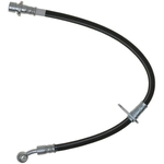 Order Rear Brake Hose by RAYBESTOS - BH381546 For Your Vehicle