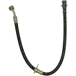 Order Rear Brake Hose by RAYBESTOS - BH381600 For Your Vehicle