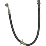 Order Rear Brake Hose by RAYBESTOS - BH381600 For Your Vehicle