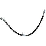 Order Rear Brake Hose by RAYBESTOS - BH381601 For Your Vehicle