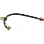 Order Rear Brake Hose by RAYBESTOS - BH381641 For Your Vehicle