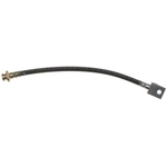 Order Rear Brake Hose by RAYBESTOS - BH381651 For Your Vehicle