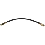 Order Rear Brake Hose by RAYBESTOS - BH381677 For Your Vehicle