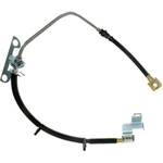 Order Rear Brake Hose by RAYBESTOS - BH382343 For Your Vehicle