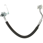 Order Rear Brake Hose by RAYBESTOS - BH382359 For Your Vehicle
