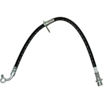 Order Rear Brake Hose by RAYBESTOS - BH382428 For Your Vehicle