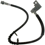 Order Rear Brake Hose by RAYBESTOS - BH382476 For Your Vehicle