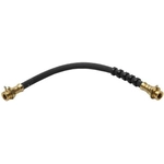 Order Rear Brake Hose by RAYBESTOS - BH38250 For Your Vehicle