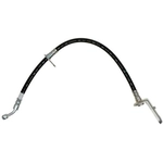 Order Rear Brake Hose by RAYBESTOS - BH382553 For Your Vehicle