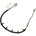 Order Rear Brake Hose by RAYBESTOS - BH382569 For Your Vehicle