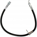 Order Rear Brake Hose by RAYBESTOS - BH382599 For Your Vehicle