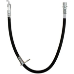 Order Rear Brake Hose by RAYBESTOS - BH382600 For Your Vehicle