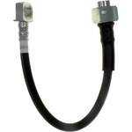 Order Rear Brake Hose by RAYBESTOS - BH382619 For Your Vehicle