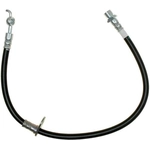 Order Rear Brake Hose by RAYBESTOS - BH382627 For Your Vehicle