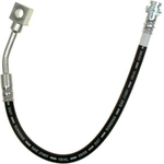 Order Rear Brake Hose by RAYBESTOS - BH382698 For Your Vehicle