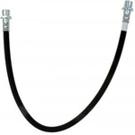 Order Rear Brake Hose by RAYBESTOS - BH382732 For Your Vehicle