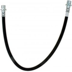 Order Rear Brake Hose by RAYBESTOS - BH382732 For Your Vehicle