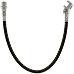 Order Rear Brake Hose by RAYBESTOS - BH382781 For Your Vehicle