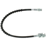 Order Rear Brake Hose by RAYBESTOS - BH382784 For Your Vehicle