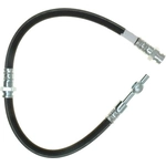 Order Rear Brake Hose by RAYBESTOS - BH382817 For Your Vehicle