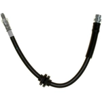 Order Rear Brake Hose by RAYBESTOS - BH382841 For Your Vehicle