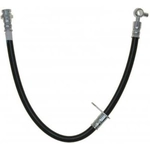 Order Rear Brake Hose by RAYBESTOS - BH382844 For Your Vehicle
