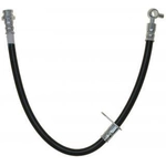 Order Rear Brake Hose by RAYBESTOS - BH382844 For Your Vehicle