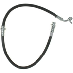 Order RAYBESTOS - BH382859 - Rear Brake Hose For Your Vehicle