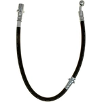 Order Rear Brake Hose by RAYBESTOS - BH382867 For Your Vehicle
