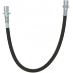 Order Rear Brake Hose by RAYBESTOS - BH382874 For Your Vehicle