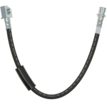Order Rear Brake Hose by RAYBESTOS - BH382925 For Your Vehicle