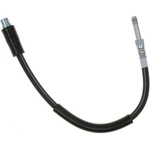 Order Rear Brake Hose by RAYBESTOS - BH382932 For Your Vehicle