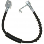 Order Rear Brake Hose by RAYBESTOS - BH382946 For Your Vehicle