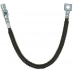 Purchase Tuyau de frein arrière de RAYBESTOS - BH383004