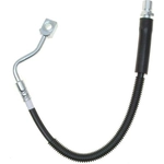 Order Rear Brake Hose by RAYBESTOS - BH383005 For Your Vehicle