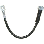 Order Rear Brake Hose by RAYBESTOS - BH383010 For Your Vehicle