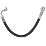 Order Rear Brake Hose by RAYBESTOS - BH383043 For Your Vehicle