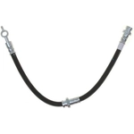 Order Rear Brake Hose by RAYBESTOS - BH383175 For Your Vehicle