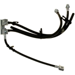 Order Rear Brake Hose by RAYBESTOS - BH383198 For Your Vehicle