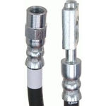 Order Rear Brake Hose by RAYBESTOS - BH383204 For Your Vehicle