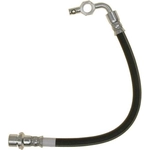 Order Rear Brake Hose by RAYBESTOS - BH383256 For Your Vehicle