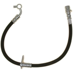 Order Rear Brake Hose by RAYBESTOS - BH383259 For Your Vehicle