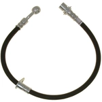 Order Rear Brake Hose by RAYBESTOS - BH383267 For Your Vehicle