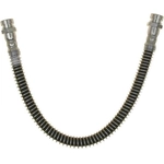 Order Rear Brake Hose by RAYBESTOS - BH383307 For Your Vehicle
