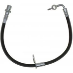 Order Rear Brake Hose by RAYBESTOS - BH383436 For Your Vehicle