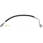 Order Rear Brake Hose by RAYBESTOS - BH383598 For Your Vehicle