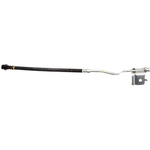 Order Rear Brake Hose by RAYBESTOS - BH383658 For Your Vehicle