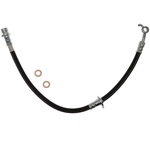 Order Tuyau de frein arrière de RAYBESTOS - BH384081 For Your Vehicle
